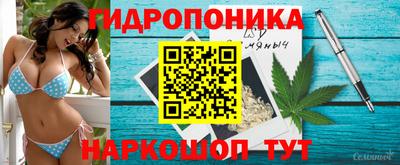 шишки Кунгур