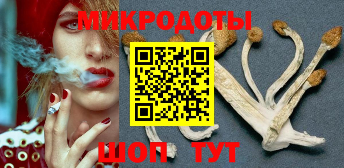 Псилоцибиновые грибы Psilocybine cubensis  Вход с VPN  Каменка  Галлюциногенные грибы ЛСД 