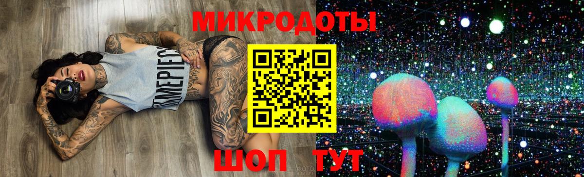 Галлюциногенные грибы мицелий Каменка